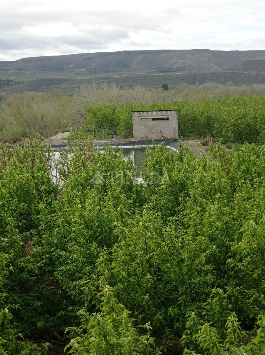 Imagen de Industrial en Zaidín número 28