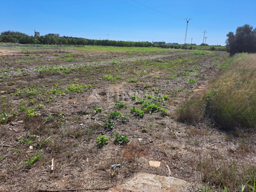 Imagen de Suelo Rustico en Puçol número 2