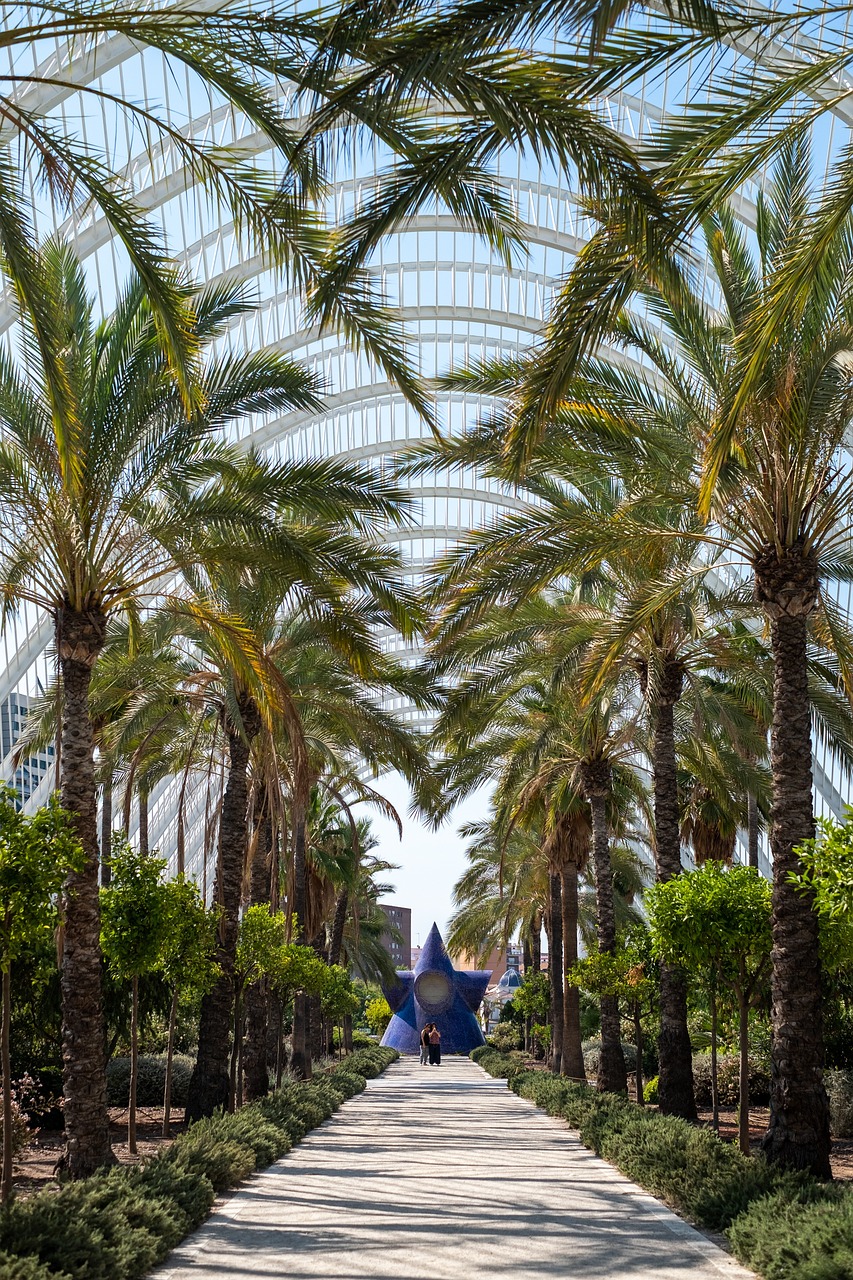 valencia-5182726_1280